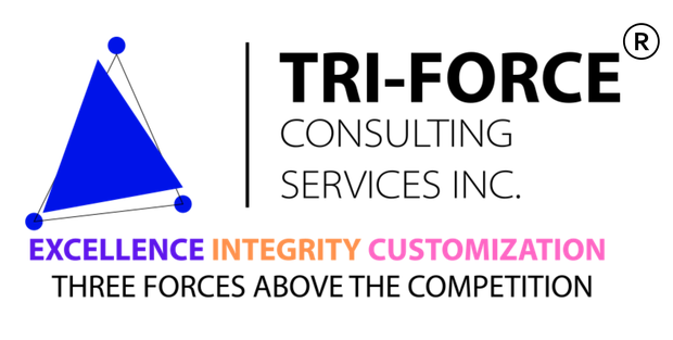 Tri-Force Consulting Services