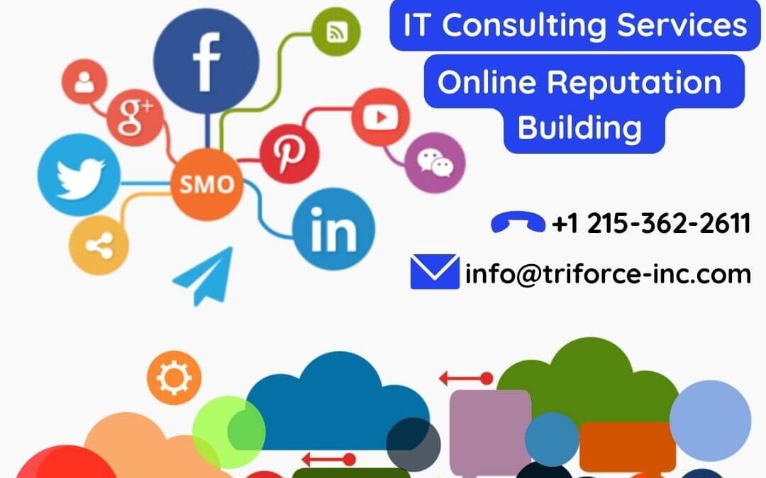 Tri force Services TriForce Consulting Service Inc.