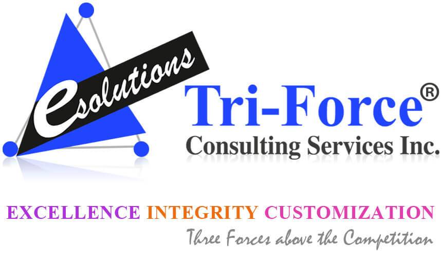 Tri-Force Consulting Service Inc.