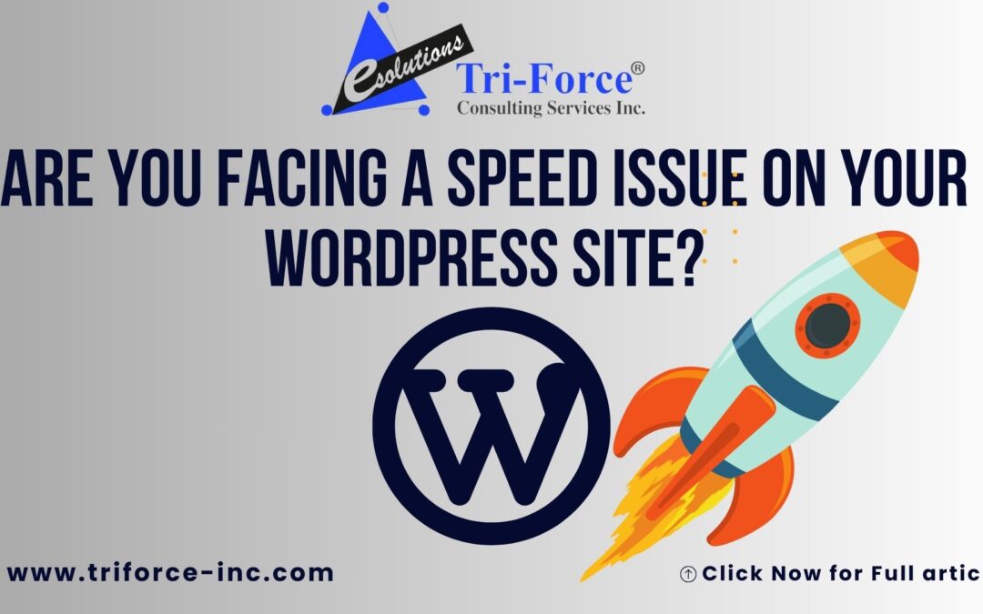 Wordpress Site speed tips