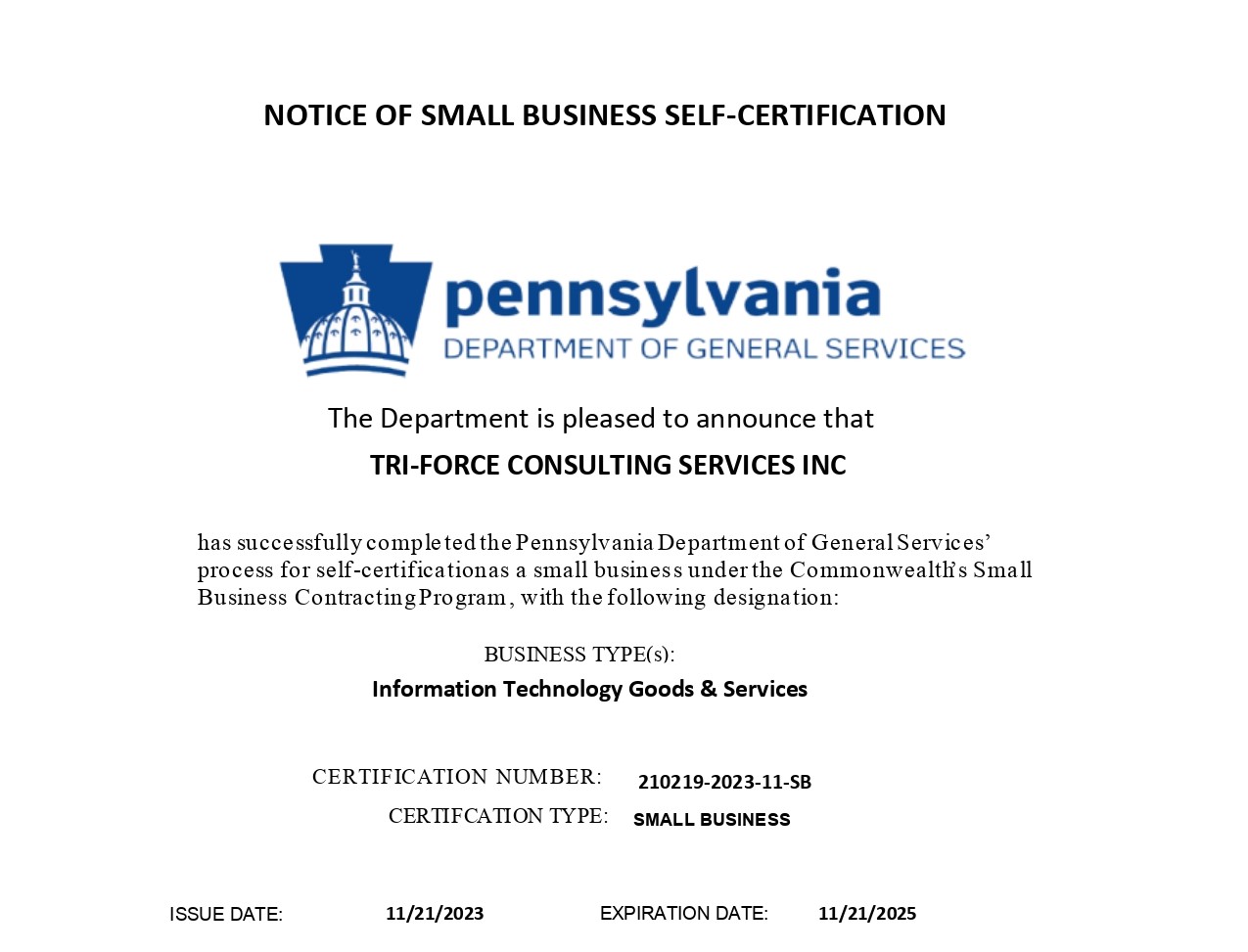 TRI FORCE CONSULTING SERVICES INC SB Certificate page