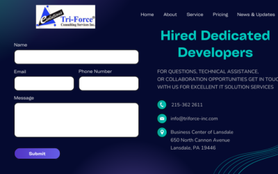A Comprehensive Guide to the Process of Employing Dedicated Developers for Your Project