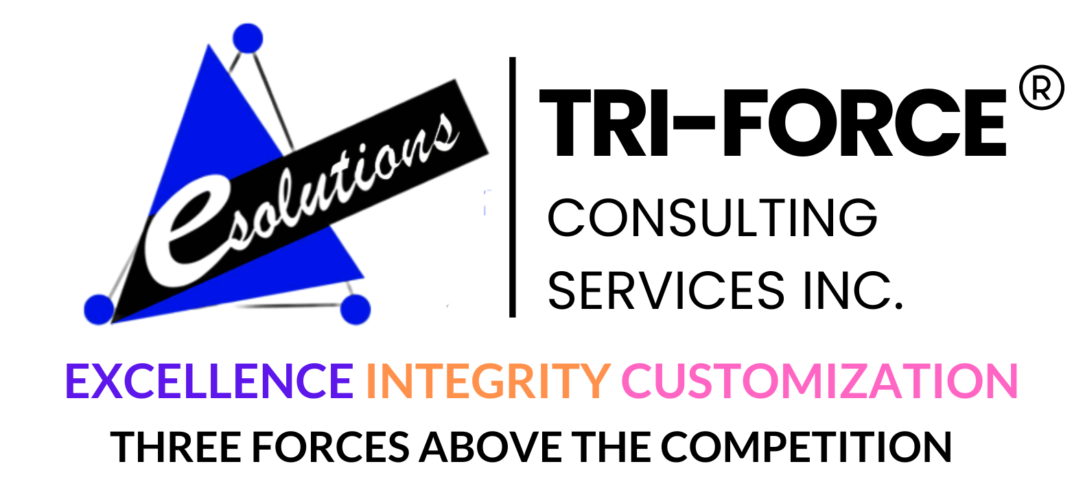 Tri-Force Consulting Service Inc.