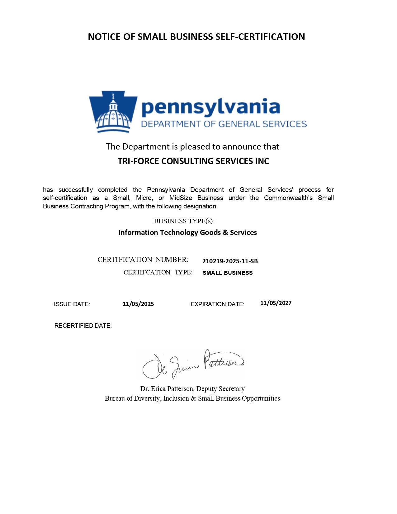 TRI FORCE CONSULTING SERVICES INC SB Certificate page